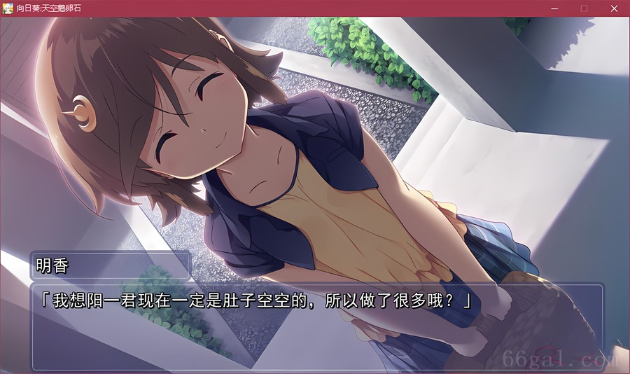 向日葵:天空鹅卵石