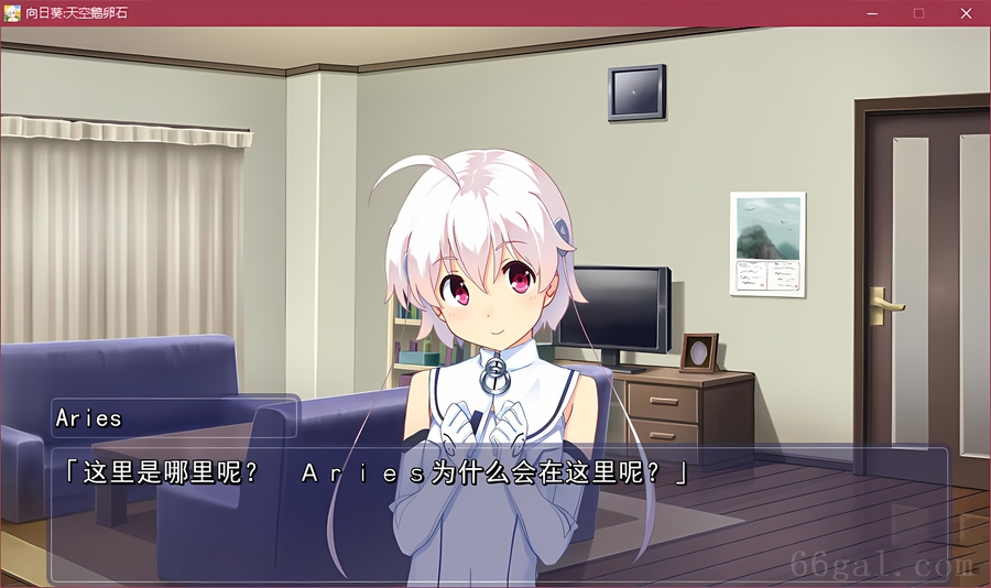 向日葵:天空鹅卵石