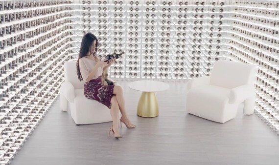 【端游推荐】《夜蒲女子图鉴前传：夜蒲觅爱》最新 中文完整版 | 单机汉